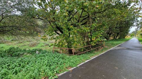 Foto 5 de Finca rústica en venta en Cerezo - Aspla - Torres, Torrelavega