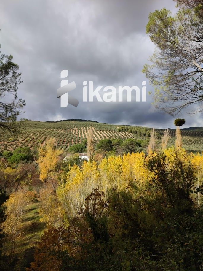 Residencial en venda en Beas de Segura