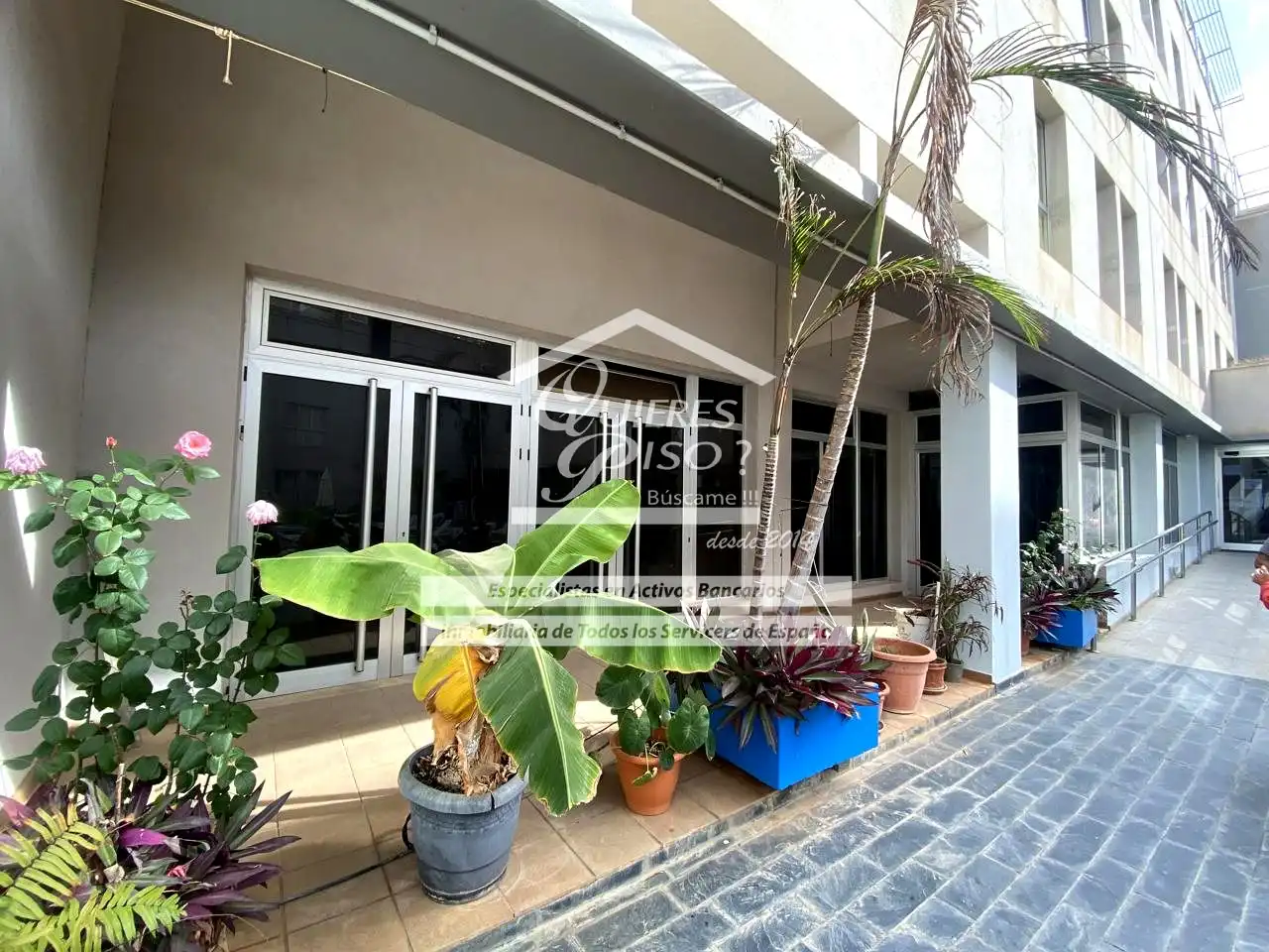 Terrace of Commercial properties for sale in Gáldar