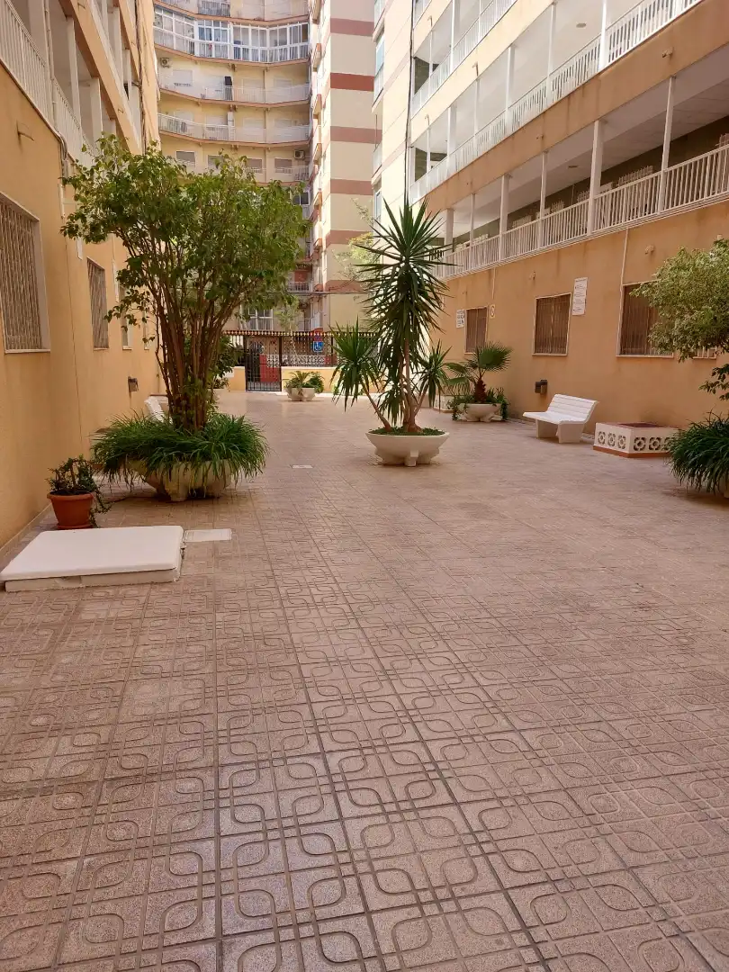 Terrace of Apartments for rent in Santa Pola  with Terrace, Furnished and Oven