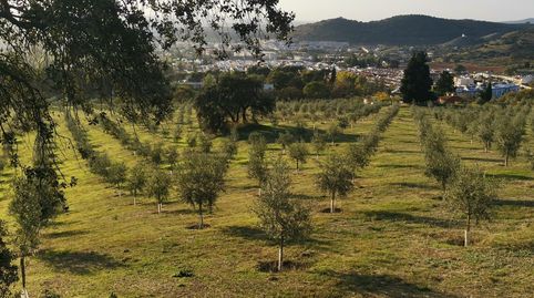 Excepcional finca en el Parque de la Subbética., imatge 4
