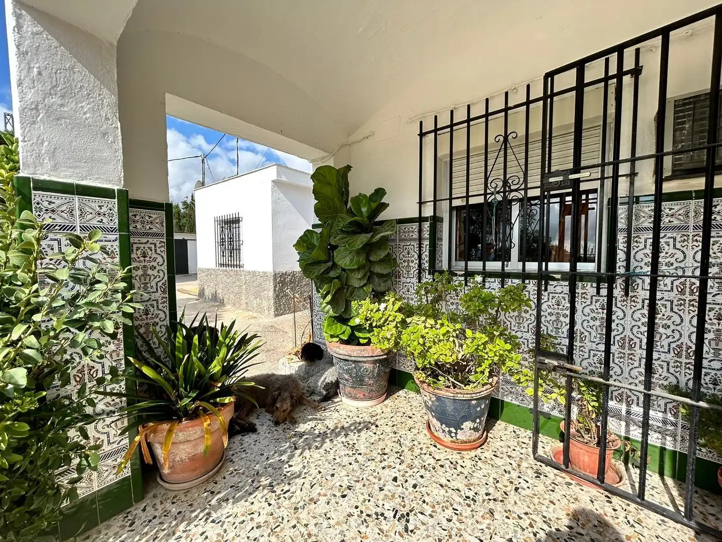 Casa rústica amb jardí en venda a Jerez norte - Montealto - Pozoalbero, imagen 8