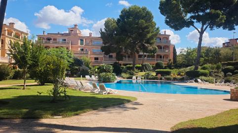 Photo 2 of Flat to rent in Carrer del Tord, Maioris-Puig de Ros, Illes Balears