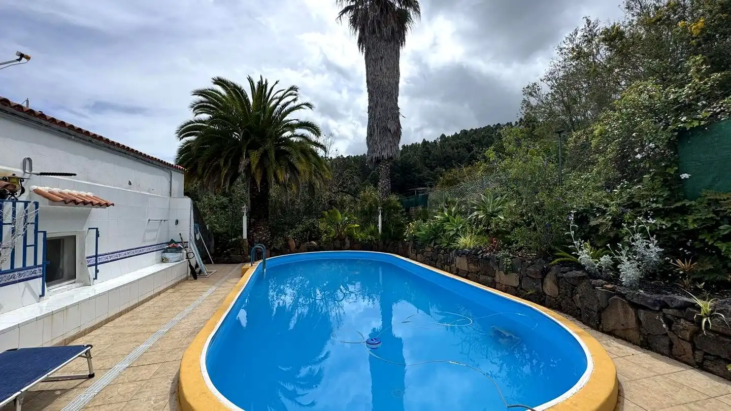 Piscina de Finca rústica en venta en Icod de los Vinos con Piscina
