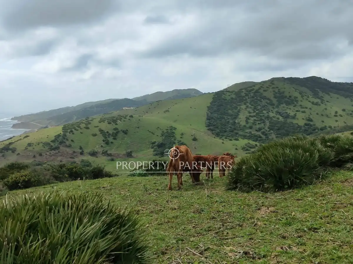 Lands and plots for sale in Tarifa