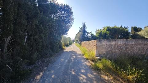 Foto 2 de Finca rústica en venda a Calle Poligono 4, Llubí, Illes Balears