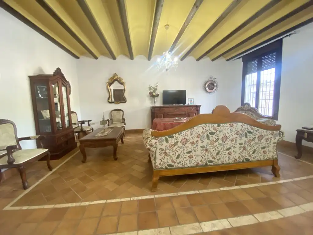 Sala de estar de Casa o chalet en venta en La Rambla con Terraza