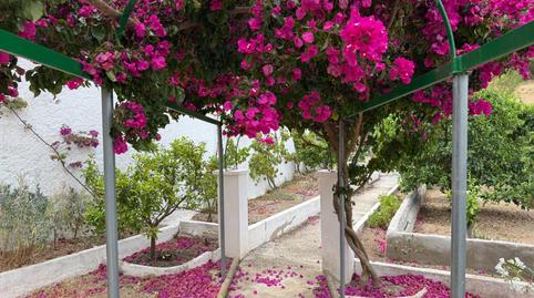 Foto 5 de Casa o chalet en venta en Urbanizacion Valseca, Limonar, Málaga Capital