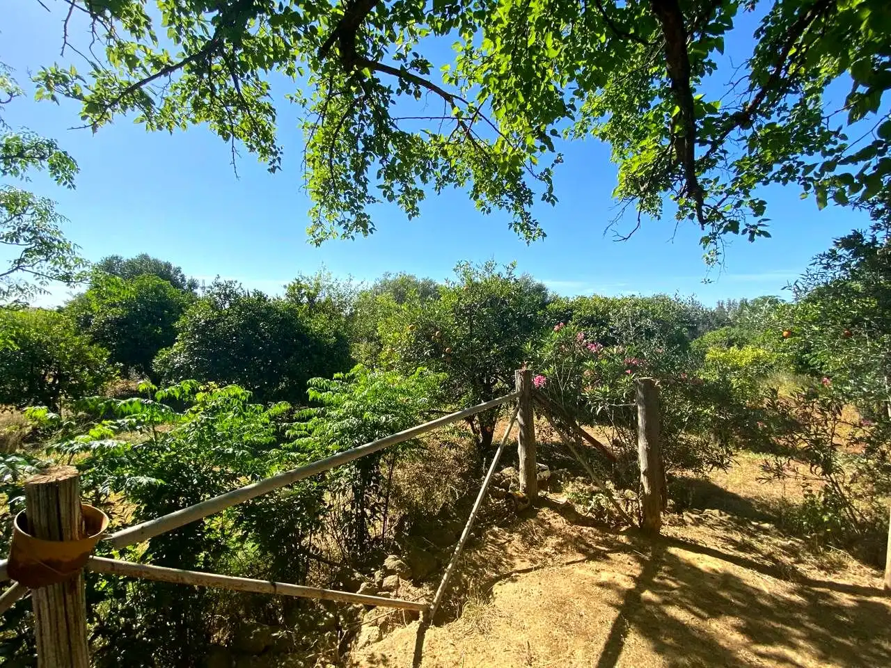 Vista exterior de Casa o xalet en venda en Alcalá de Guadaira amb Jardí privat, Terrassa i Piscina