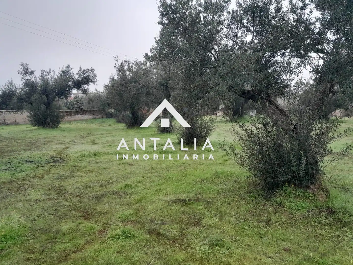Terreni e lotti in vendita a Malpartida de Cáceres, imagen 7