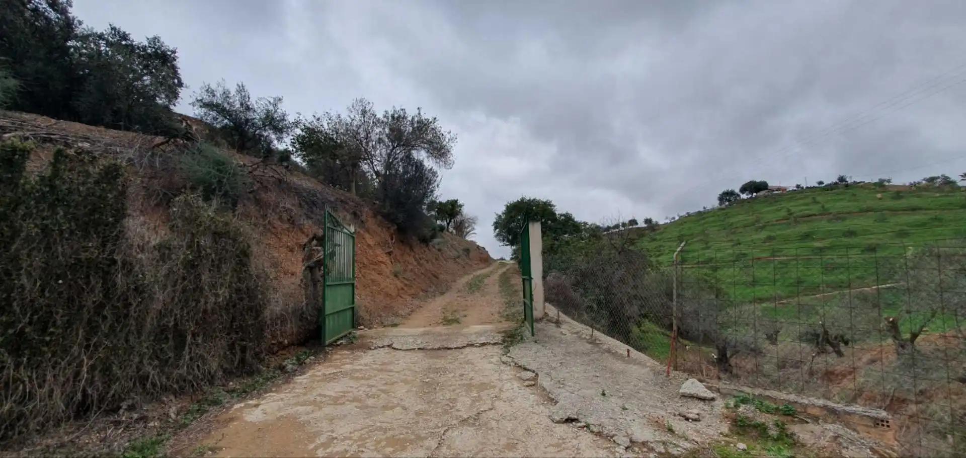 Terreni e lotti in vendita a Cártama pueblo