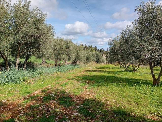 Terreno en Venta en Lloseta