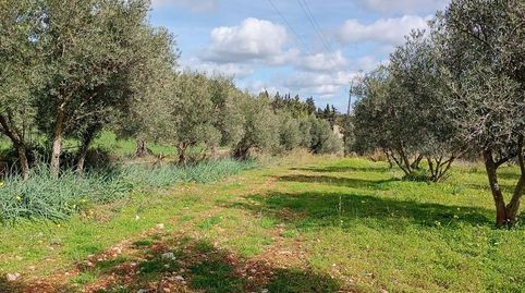 Terreno en venta, immagine 3