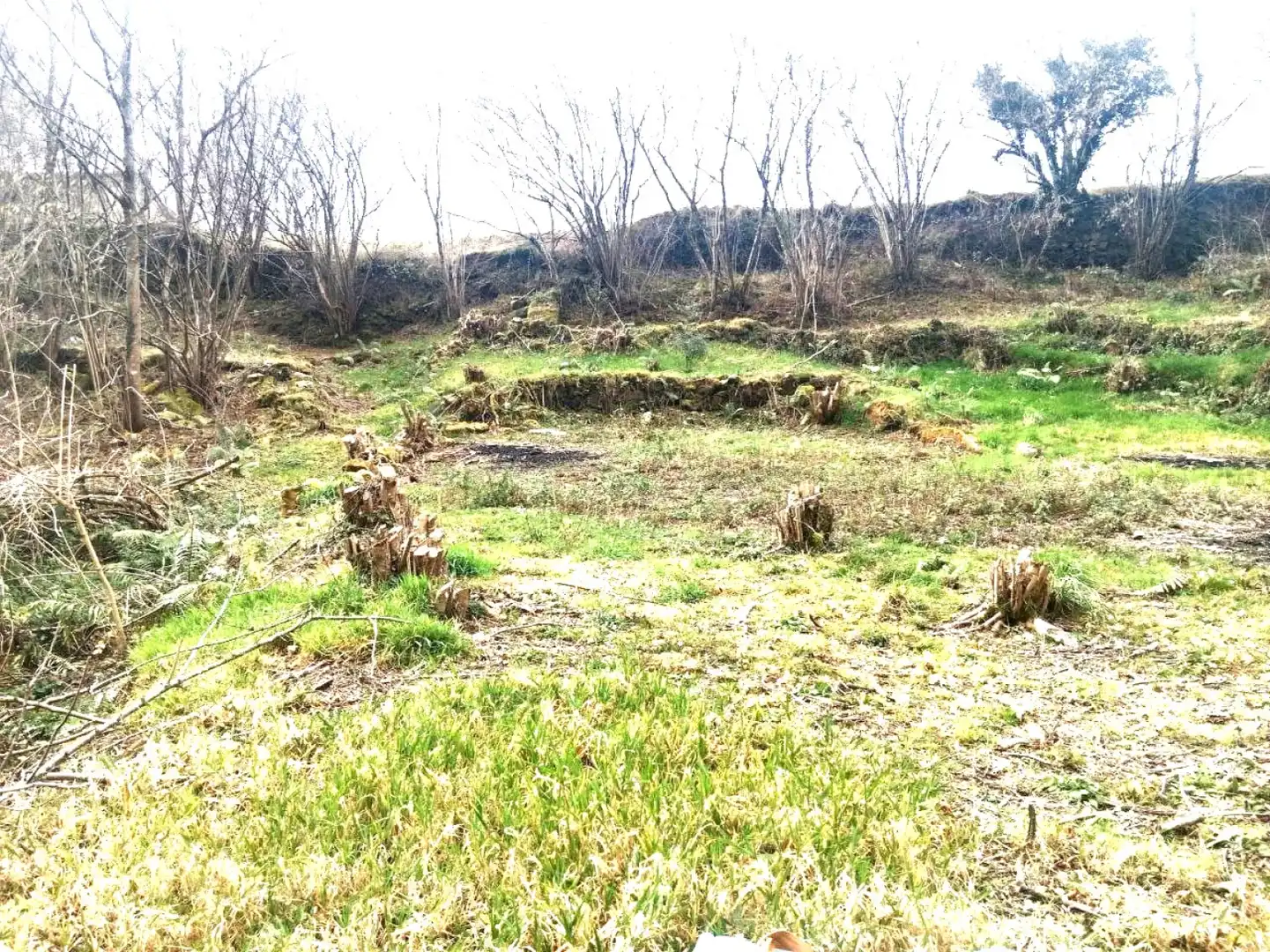 Residential land for sale in San Sebastián de Garabandal - SAN SEBASTIAN DE GARABANDAL 311/312, imagen 2