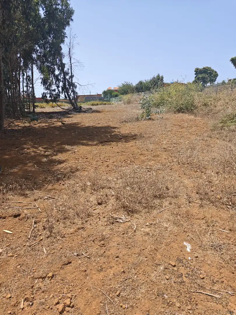 Grundstücke zum Verkauf in Calle Bethencourt, 25, La Esperanza - Llano del Moro