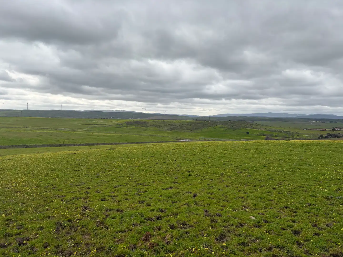 Terreno en venta en Alagón del Río