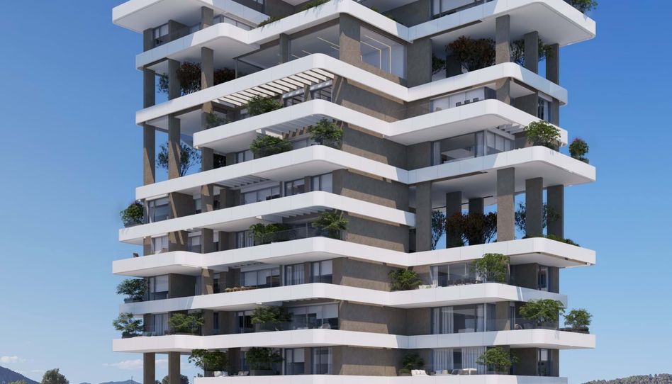 Piso en venta en Zona Levante - Playa Fossa - 5