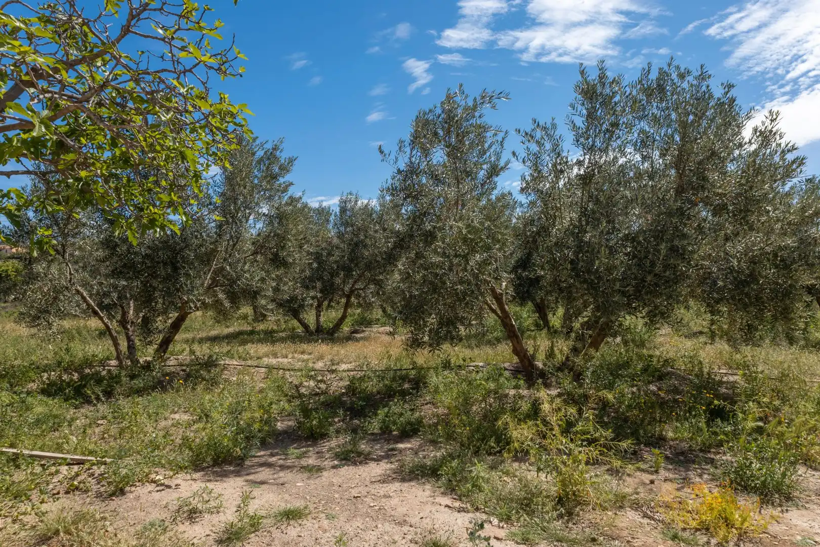Casa o chalet en venta en Guadix con Aire acondicionado, Calefacción y Jardín privado