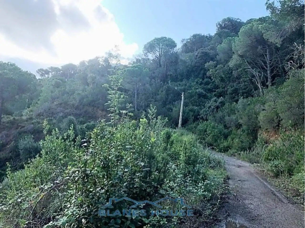 Rustikales Grundstück zum Verkauf in Avenida OCELLS 83, imagen 3
