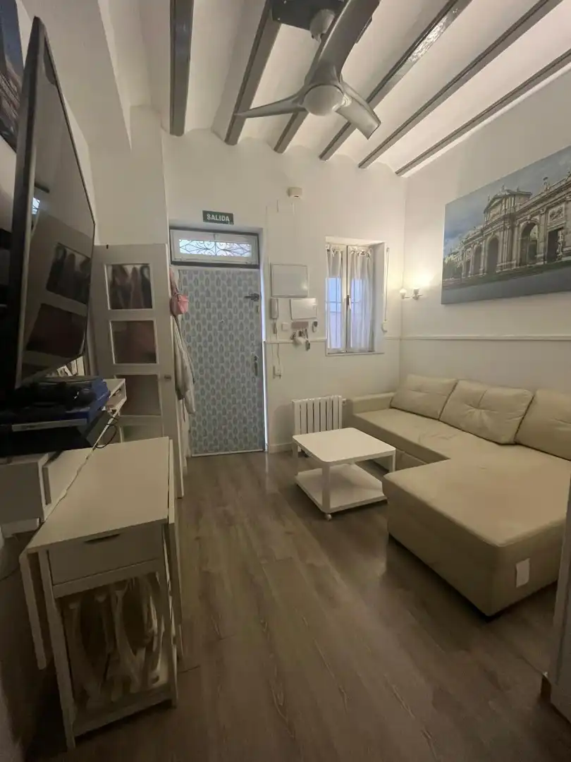 Living room of Flat for sale in Madrid