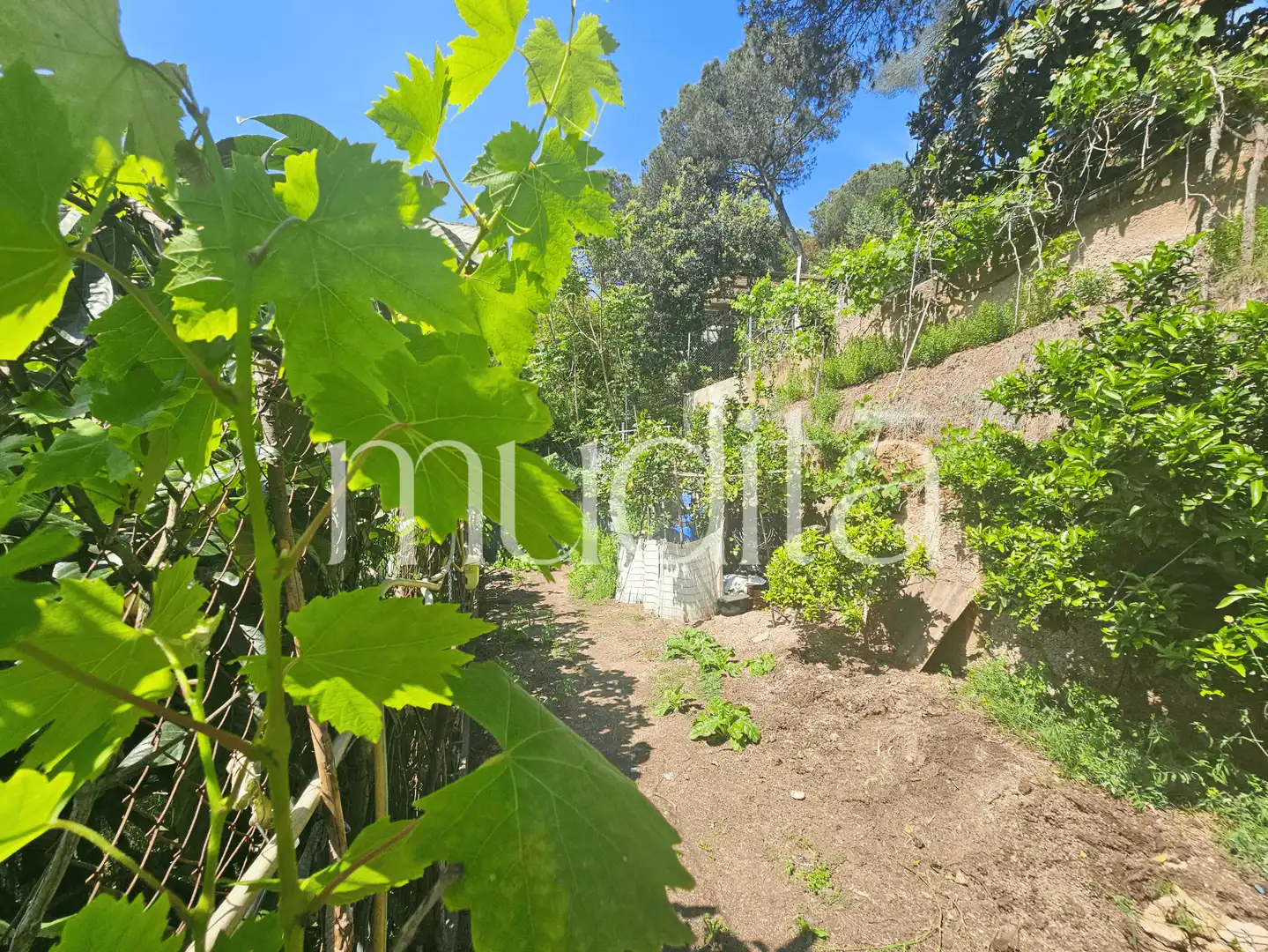 Terreno residencial en venta en Joan Maragall i Gorina, imagen 12