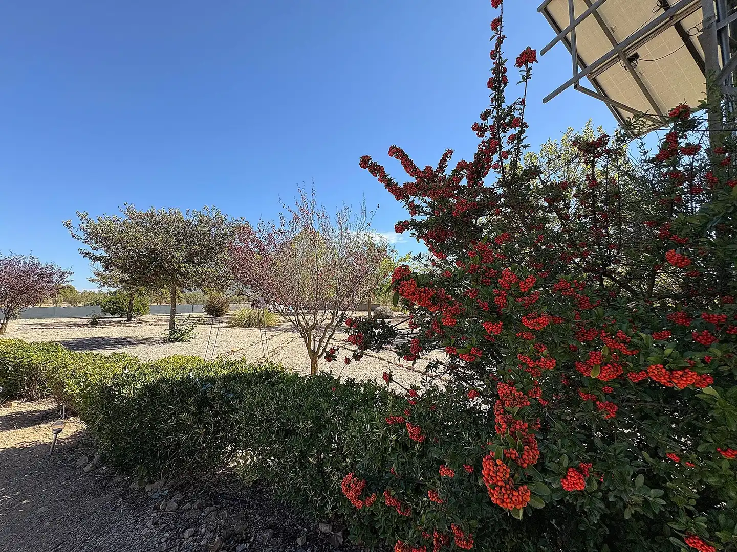 Jardí de Casa o xalet en venda en Biar amb Calefacció, Jardí privat i Parquet