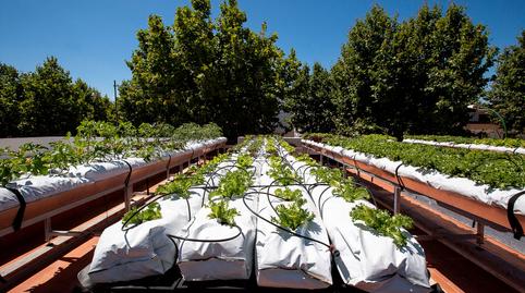 Photo 4 of Premises to rent in Avenida Joan Carles, 6, Moxó - Sant Mori, Girona