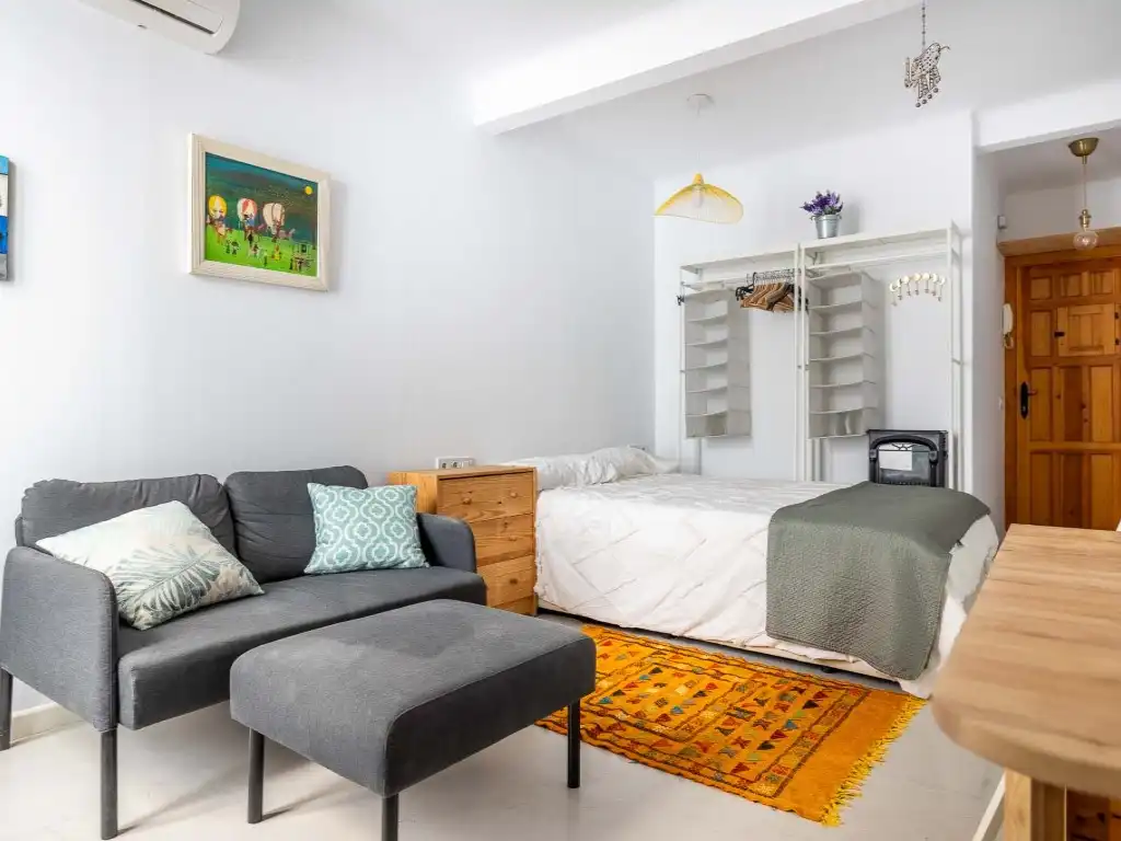 Studio for sale in Casco Antiguo, imagen 11