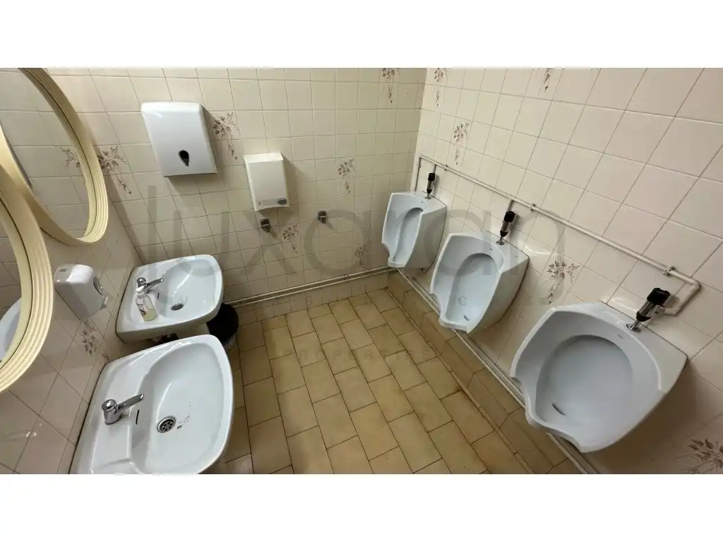 Bathroom of Commercial properties for sale in Bossòst