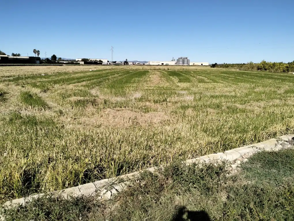 Nave industrial en venta en Sueca