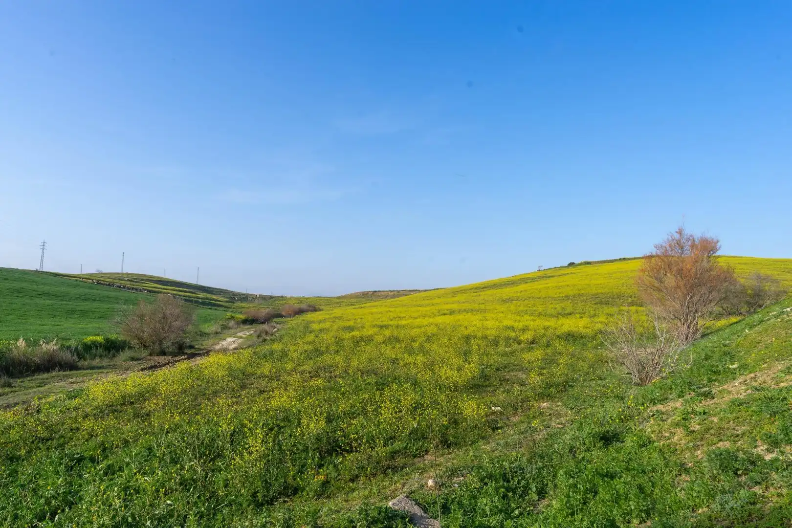 Rural land for sale in Casalpalma - Fahala, imagen 11