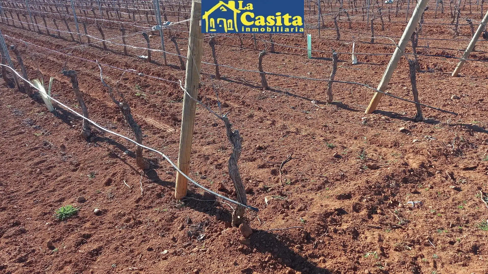 Terreno rústico en venta en Camino de Miguelturra