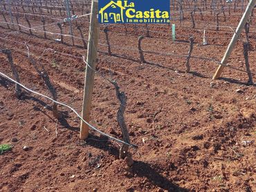 Rural land for sale in Camino de Miguelturra