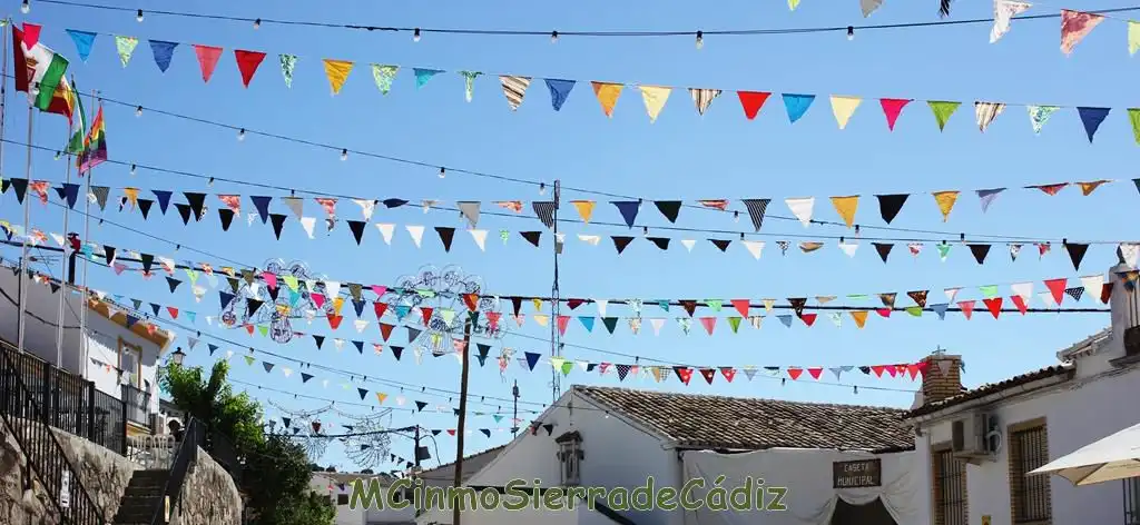 Casa o chalet en venta en de Cádiz, Algodonales