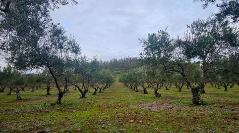 Foto 3 de Finca rústica en venda a Llerena, Badajoz
