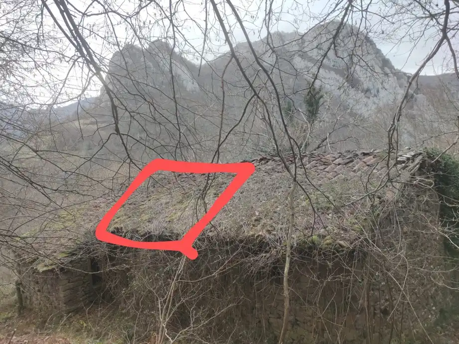 Terreny rústic en venda a Caso, imagen 7