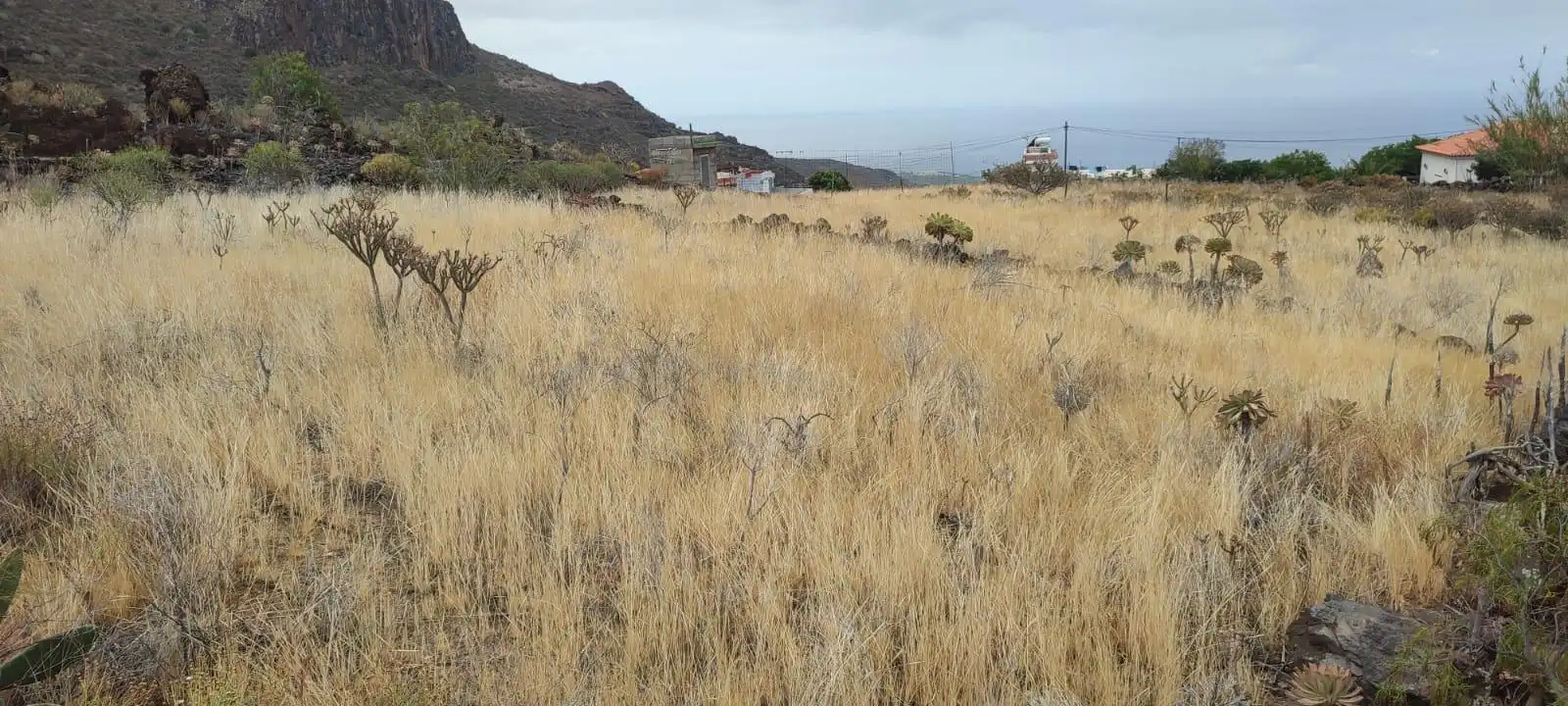 Terreno en venta en Santiago del Teide