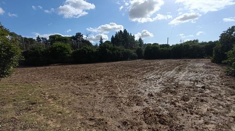 Foto 4 de Finca rústica en venda a Parque Atlántico - Ronda este, Jerez de la Frontera