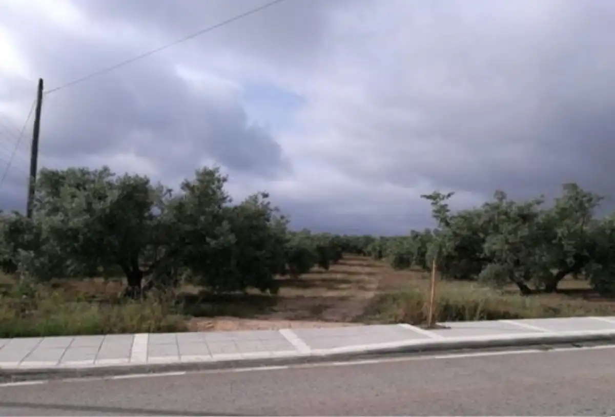 Terreni e lotti in vendita a Martos, imagen 6