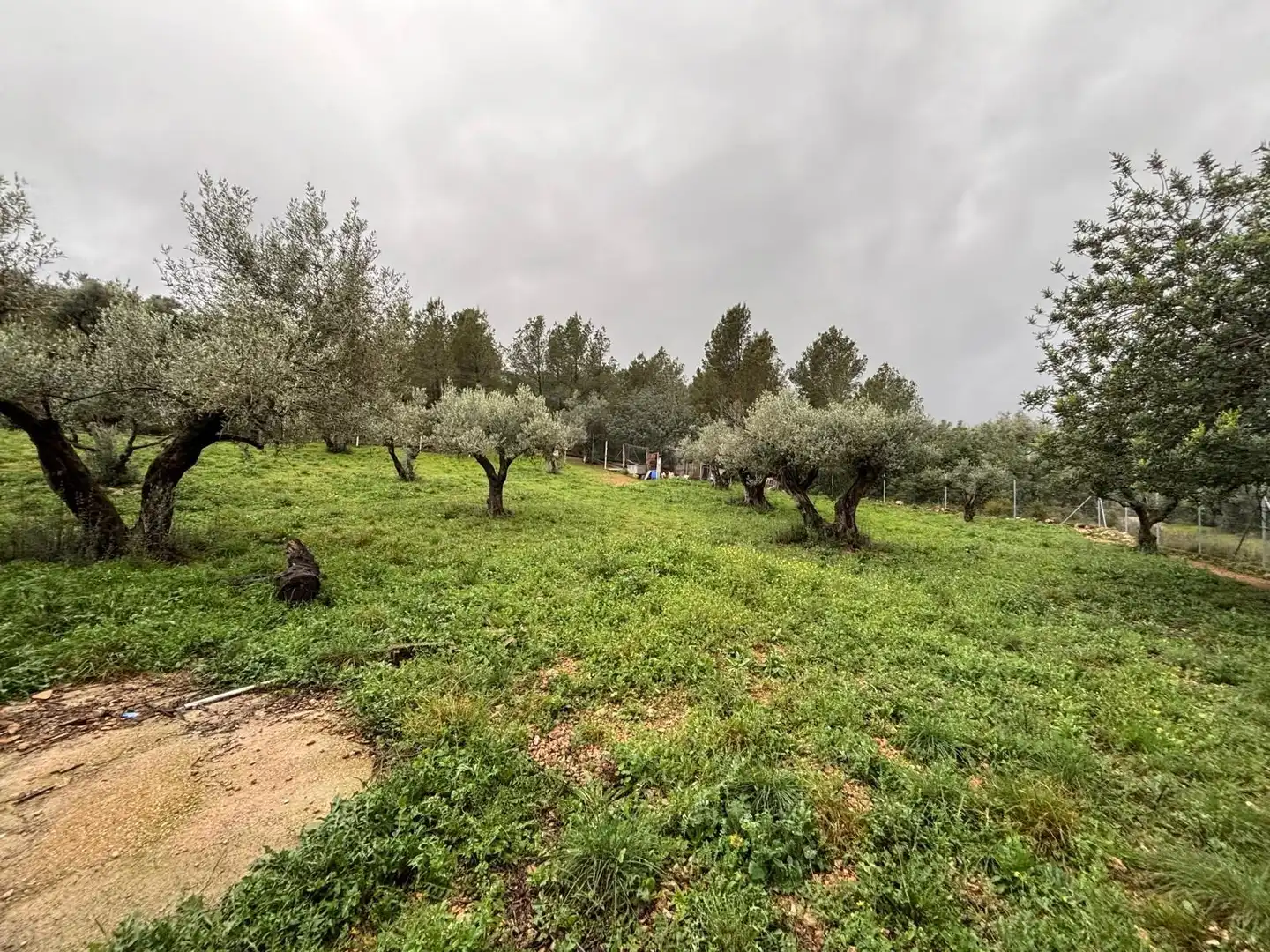 Casa rústica en venta en Alfara de Carles, imagen 20