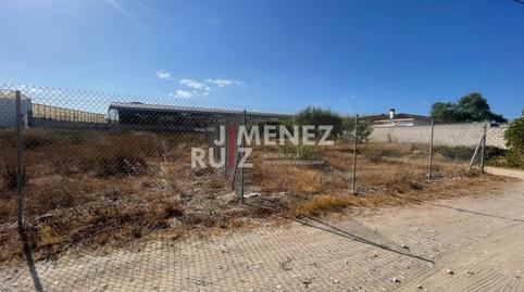 Photo 2 of Land for sale in Cuatro Pinos - El Carmen, El Puerto de Santa María