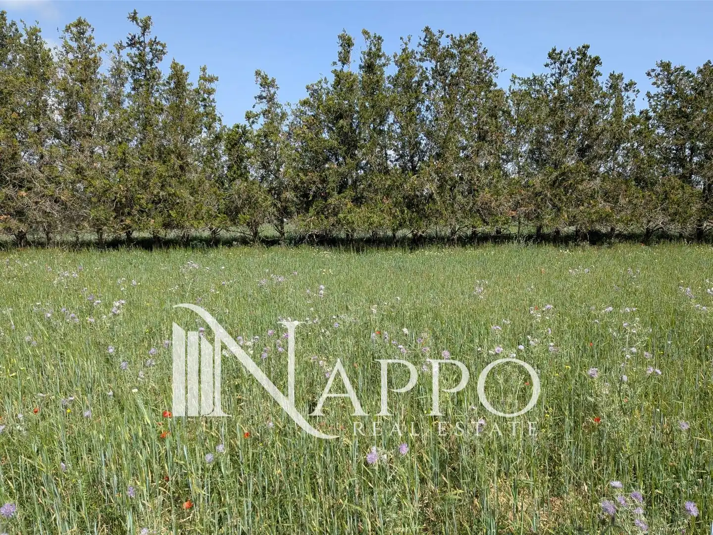 Residential land for sale in DISTRITO FELANITX CENTRO, imagen 4