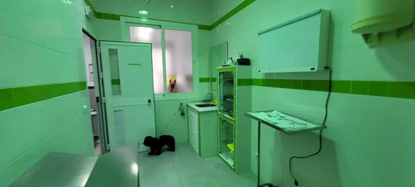 Cuina de Local de lloguer en Sotogrande amb Aire condicionat