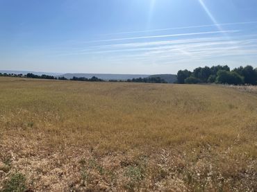 Terreno rustico in vendita a Ontígola
