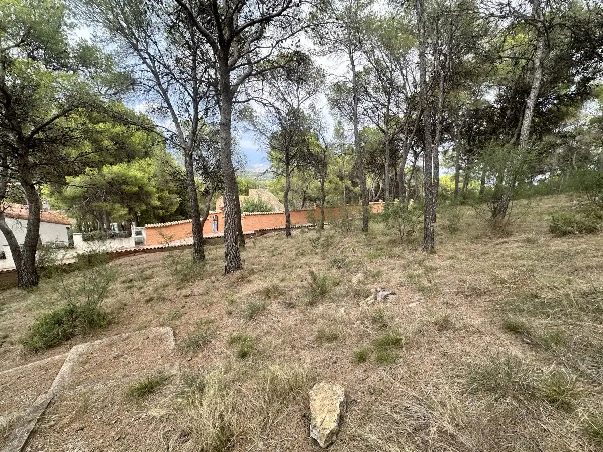 Wohnbaugrundstück zum Verkauf in Torres Torres, imagen 29