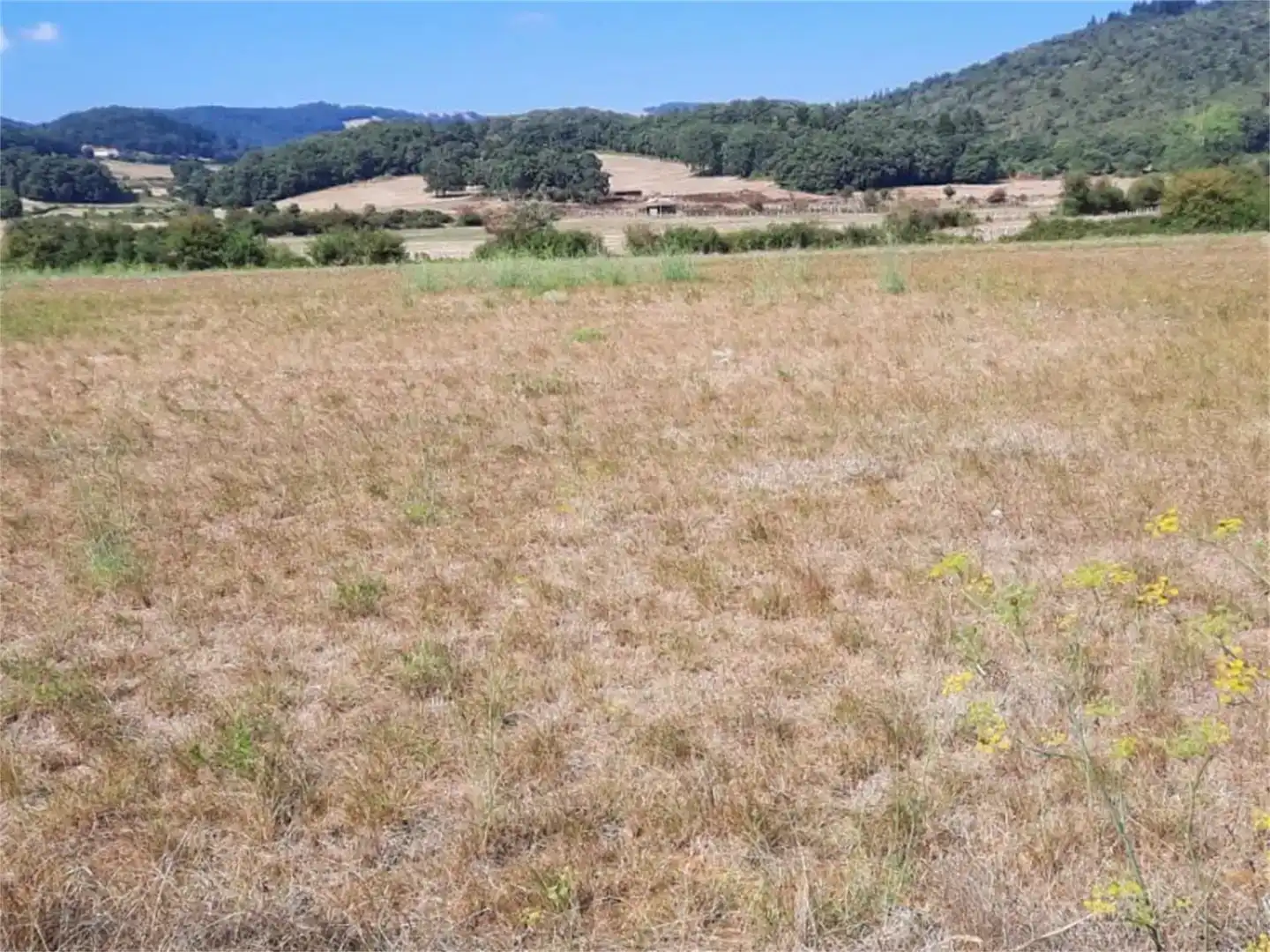 Finca rústica en venda en Valle de Mena