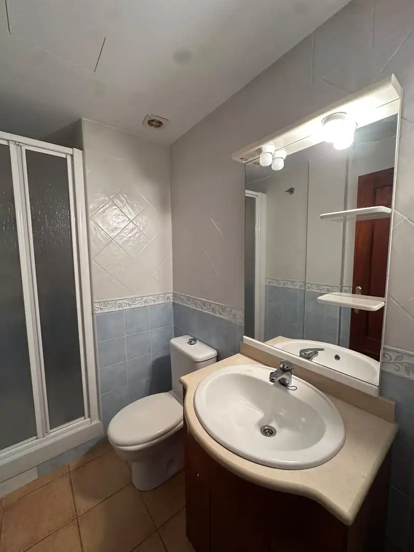 Baño de Apartamento en venta en Amposta