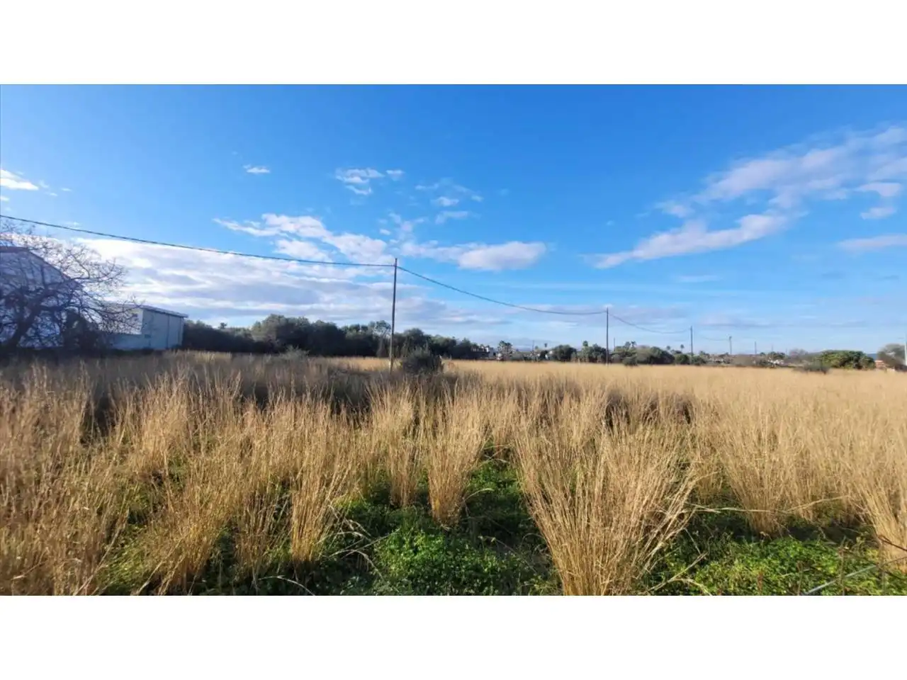 Rural land for sale in Calle PL POLIGONO 24 139 Suelo 12500 VINAROS 24, imagen 2
