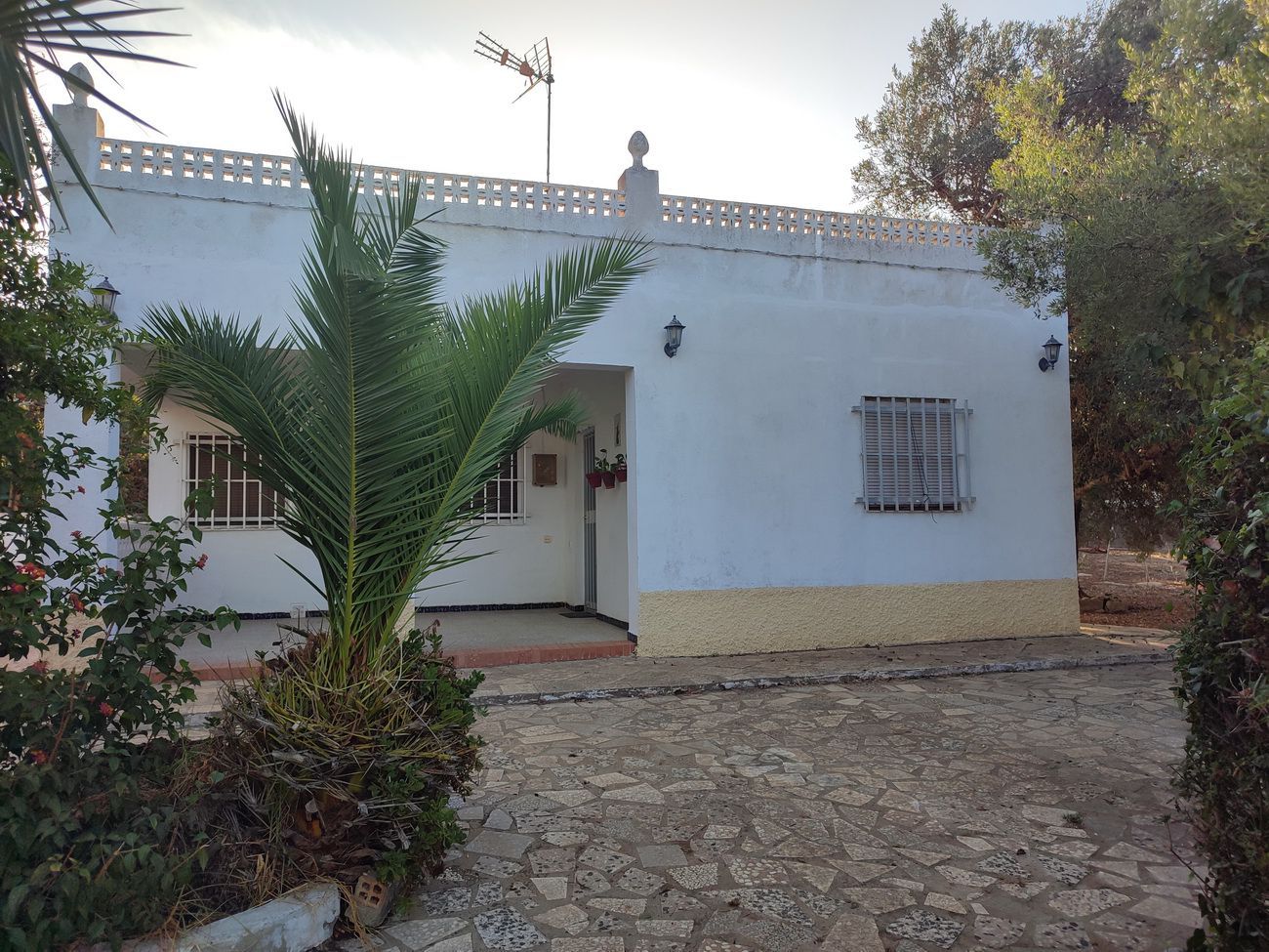 Vista exterior de Casa o xalet en venda en Conil de la Frontera amb Traster