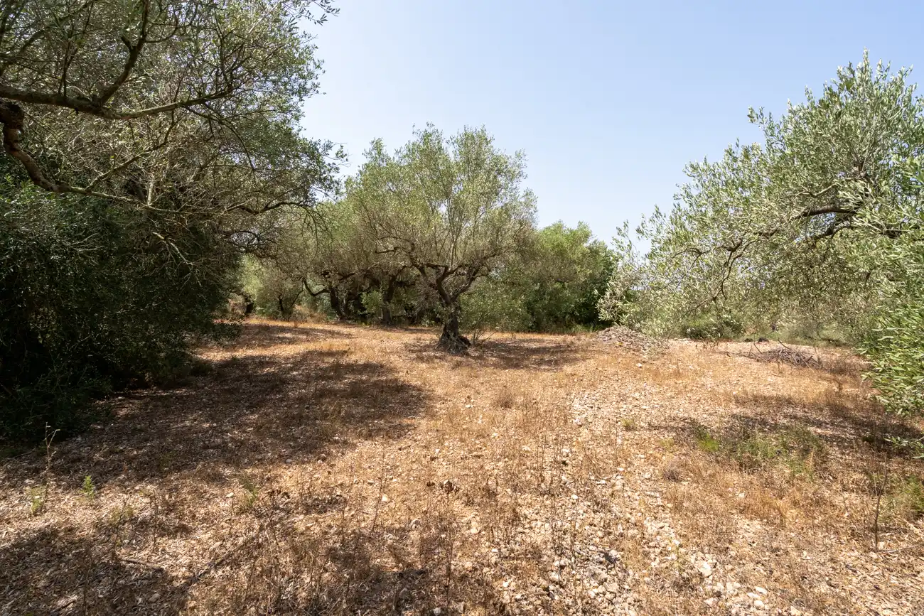 Terreno en venta en Masdenverge
